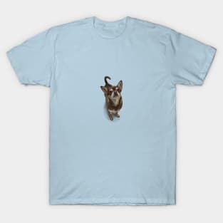 The Chihuahua T-Shirt